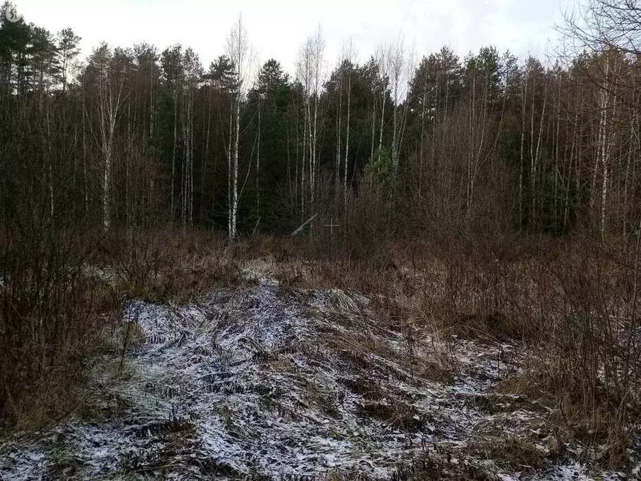 Участок в Бургинское сельское поселение, деревня Лопотень (60 м) - Фото 1