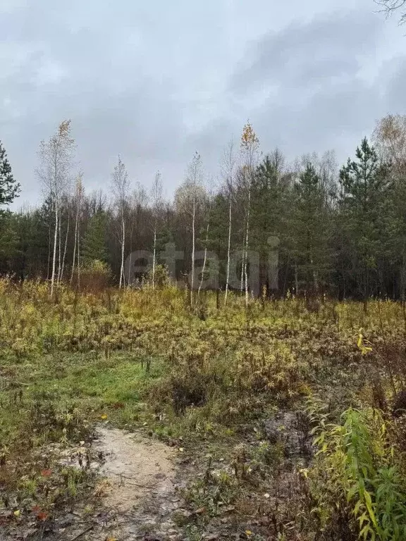 Участок в Московская область, Подольск городской округ, пос. ... - Фото 2