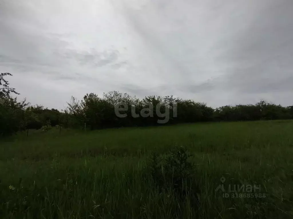 Участок в Белгородская область, Белгородский район, Беломестненское ... - Фото 1