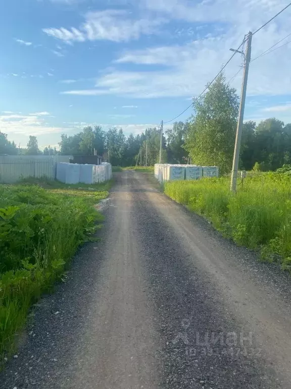Участок в Московская область, Пушкинский городской округ, с. Тишково, ... - Фото 2