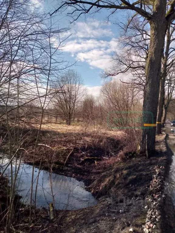 Участок в Калининградская область, Зеленоградский муниципальный округ, ... - Фото 1