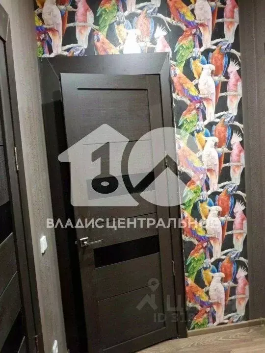 Студия Новосибирская область, Новосибирск Дивногорский мкр, ул. ... - Фото 1