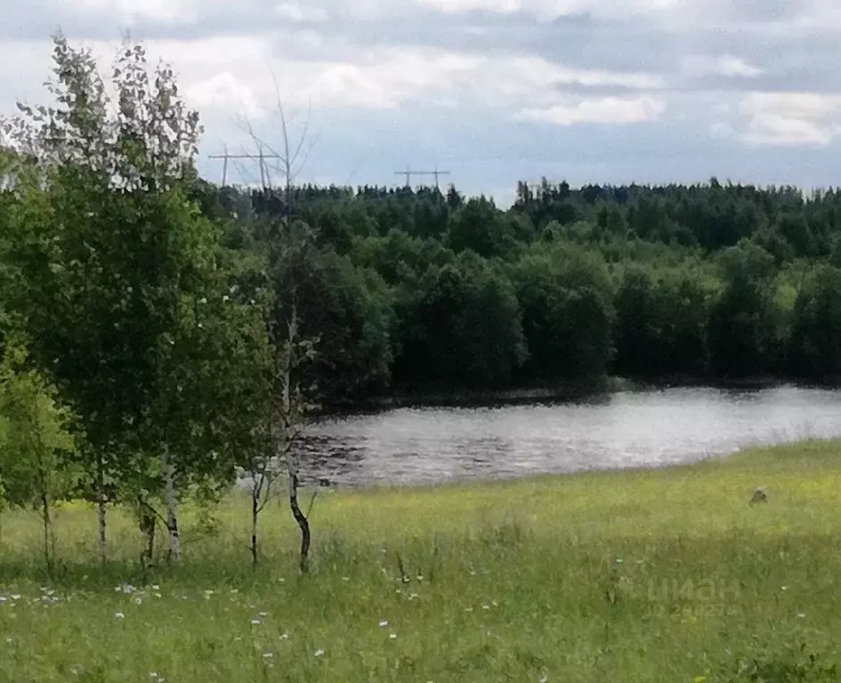 Участок в Тверская область, Калязинский район, д. Болдиново  (21.0 ... - Фото 0