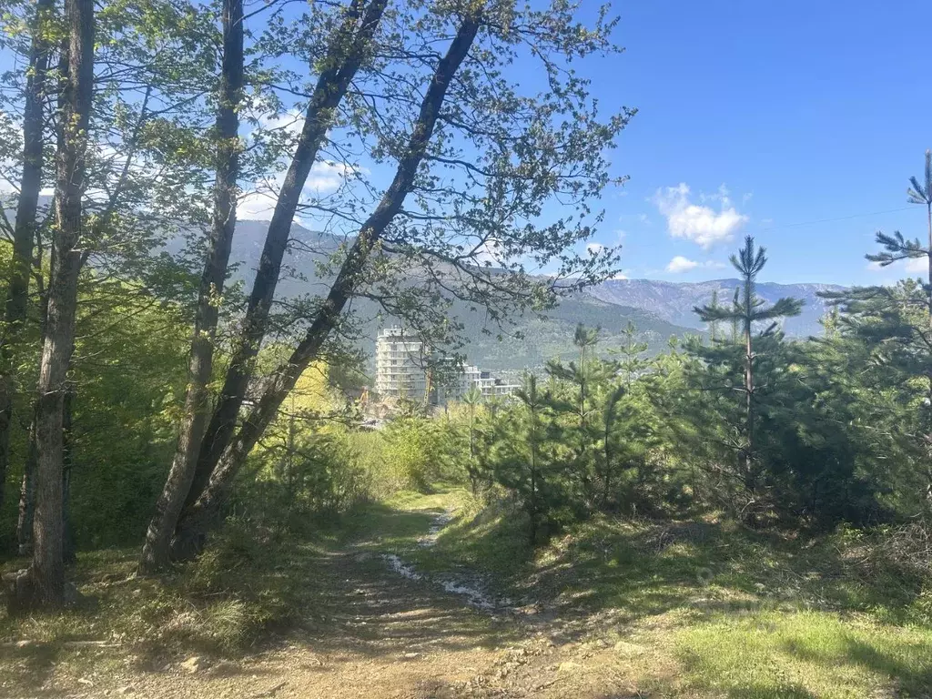 Участок в Крым, Ялта муниципальный округ, Виноградное пгт  (34.0 сот.) - Фото 0
