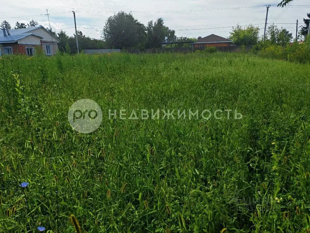 Участок в Рязанская область, Рыбное ул. 8 Марта (6.0 сот.) - Фото 2