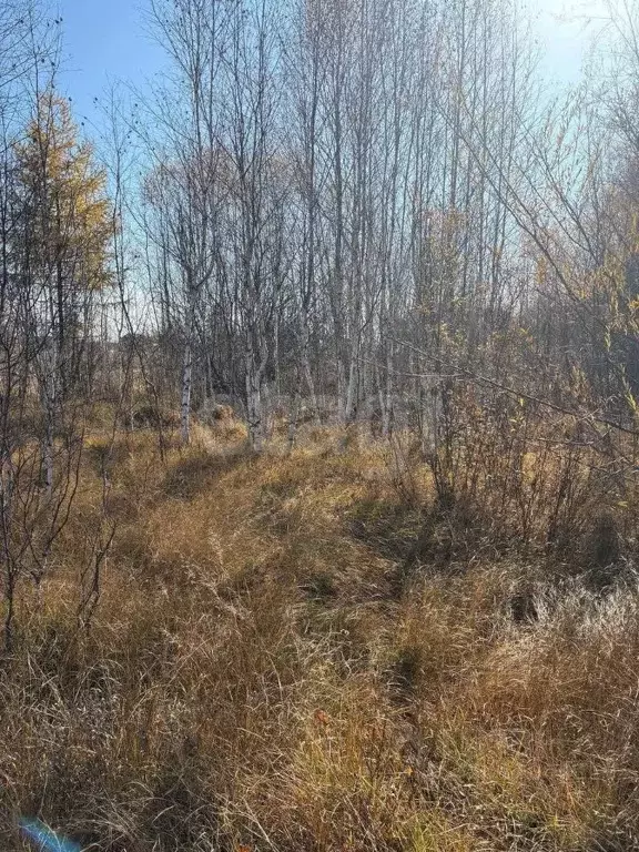 Участок в Иркутская область, Ангарск 259-й кв-л,  (10.0 сот.) - Фото 2