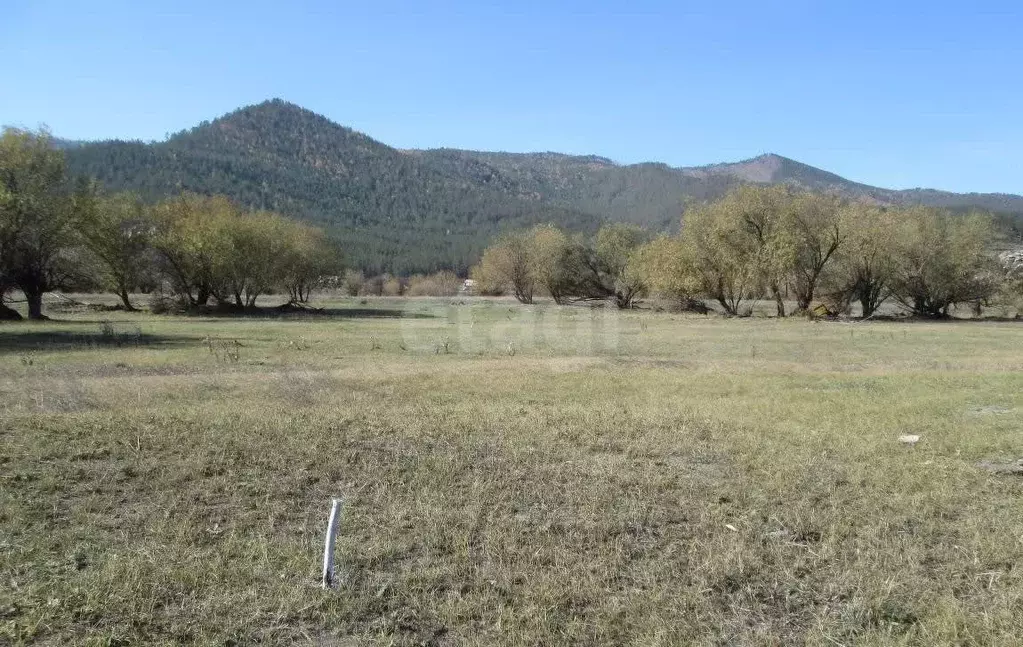 Участок в Бурятия, Иволгинский район, Сотниковское с/пос, с. ... - Фото 2