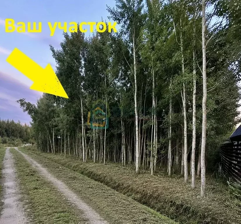 Участок в Ленинградская область, Ломоносовский район, Виллозское ... - Фото 2