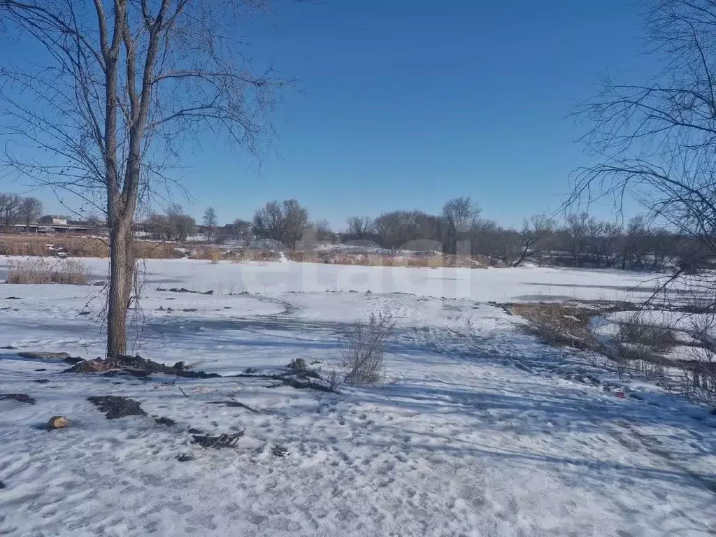 Участок в Белгородская область, Алексеевка ул. Некрасова, 100 (8.0 ... - Фото 1