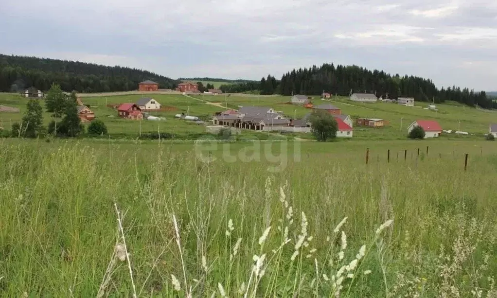 Участок в Пермский край, Пермский муниципальный округ, д. Большакино ... - Фото 2