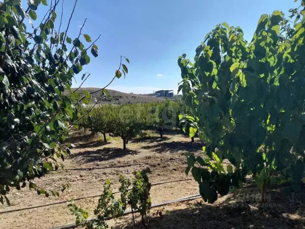 Участок в Крым, Бахчисарайский район, с. Вилино  (161.95 сот.) - Фото 1