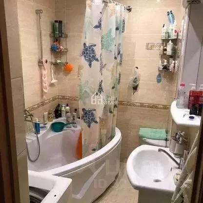 3-к кв. Калужская область, Калуга Кооперативная ул., 1/2 (74.7 м) - Фото 2