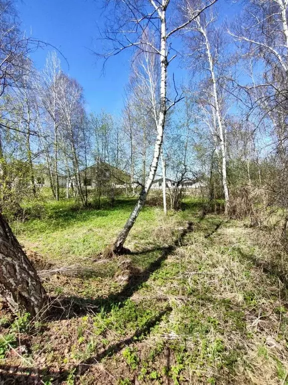 Участок в Новосибирская область, Новосибирский район, Каменский ... - Фото 1