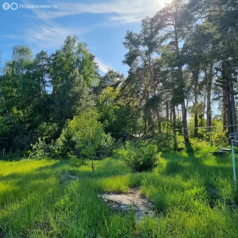 Участок в посёлок городского типа Васильево, улица Татарстан, 1 (27 м) - Фото 0