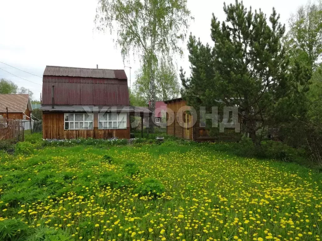 Участок в Тогучинский район, СНТ Кондитер (4.37 м) - Фото 0