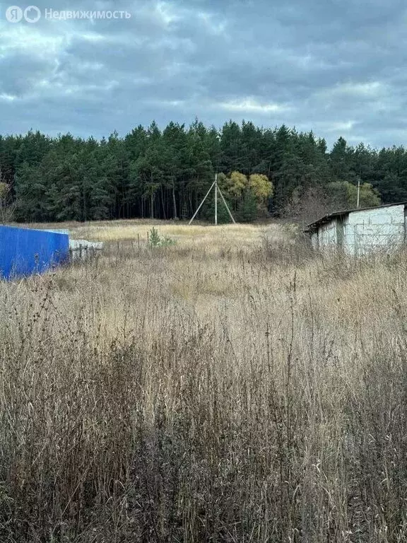 Участок в Старооскольский городской округ, село Бабанинка, ... - Фото 0