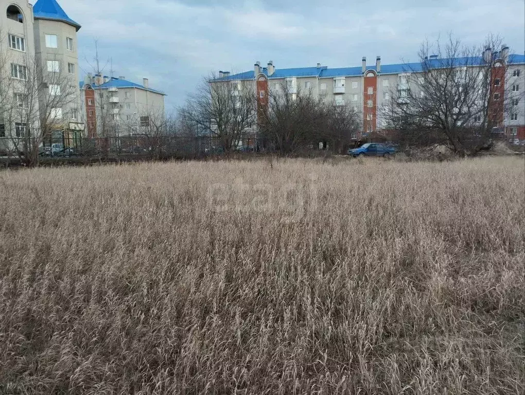 Участок в Воронежская область, с. Новая Усмань  (14.74 сот.) - Фото 1