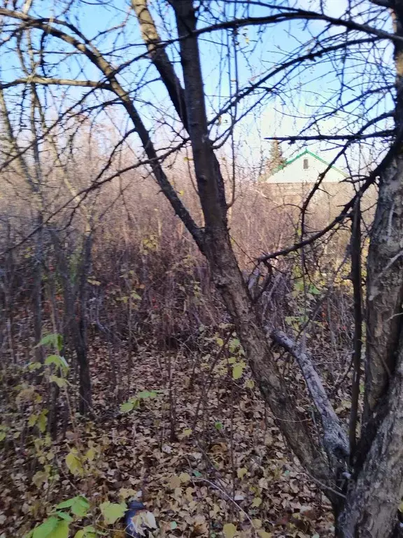 Участок в Башкортостан, Уфа Дружба СНТ, 86 (4.0 сот.) - Фото 1