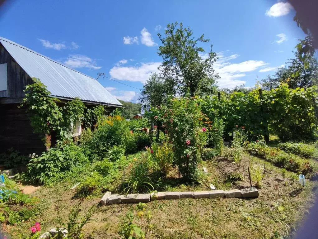 Участок в Нижегородская область, Нижний Новгород Дубрава СНТ, 102 (4.0 ... - Фото 1