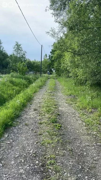 Участок в Хабаровский район, село Сосновка (13 м) - Фото 0