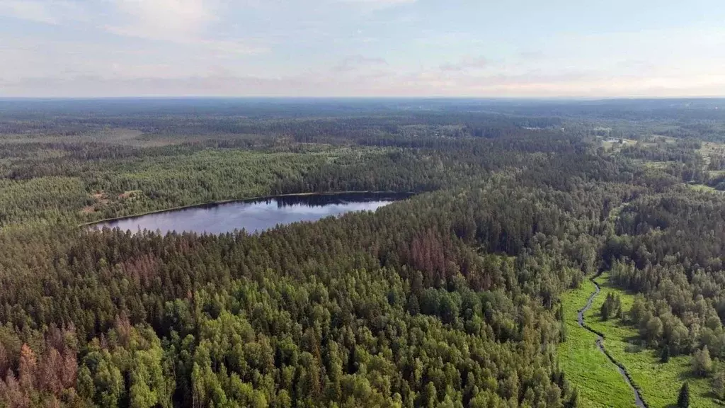Коттедж в Ленинградская область, Приозерский район, Раздольевское ... - Фото 1