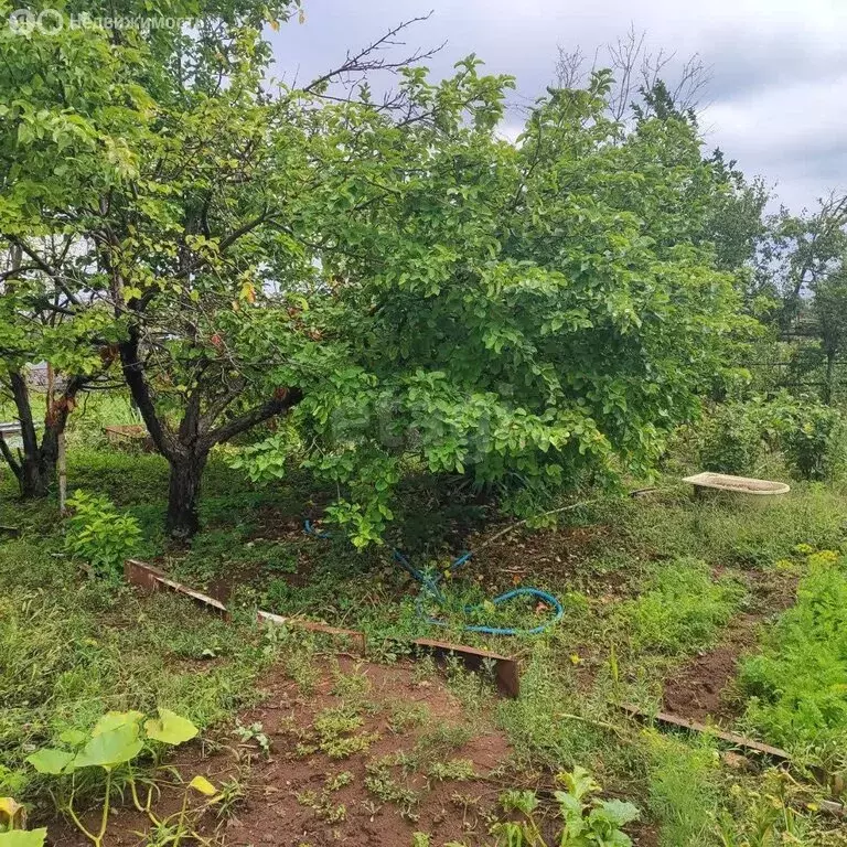 Участок в Оренбург, дачный массив Ростоши-1, СНТ Импульс (5 м) - Фото 2