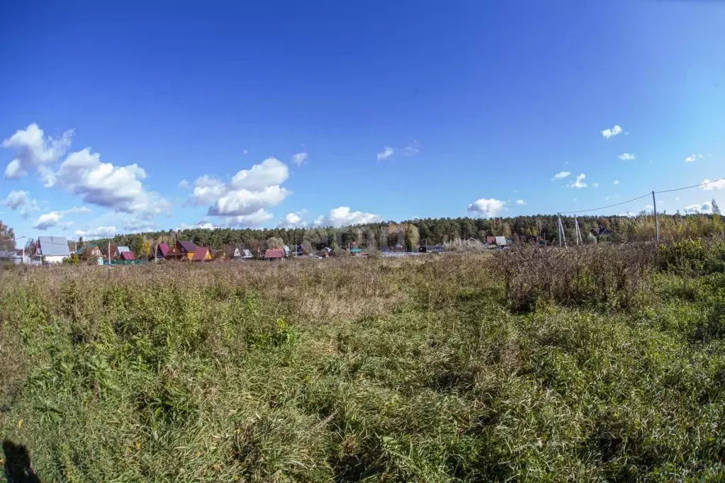 Участок в Новосибирская область, Новосибирский район, Кудряшовский ... - Фото 1