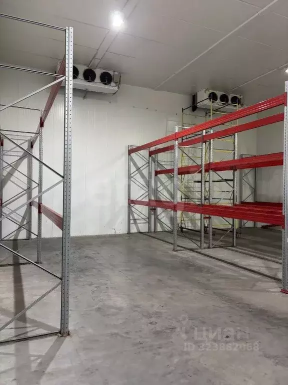 Склад в Псковская область, Псков Зональное ш., 46 (239 м) - Фото 2