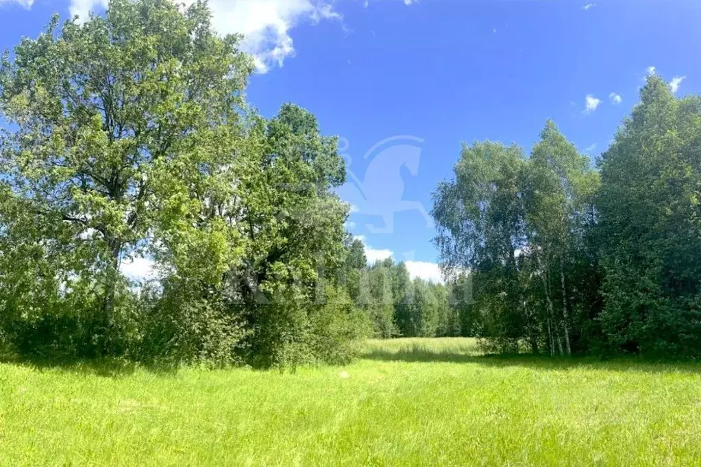 Участок в Москва № 411 кв-л,  (392.29 сот.) - Фото 1