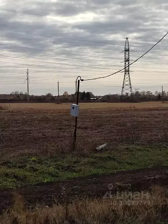 Участок в Омская область, Омский район, с. Лузино Дачная ул. (15.0 ... - Фото 1