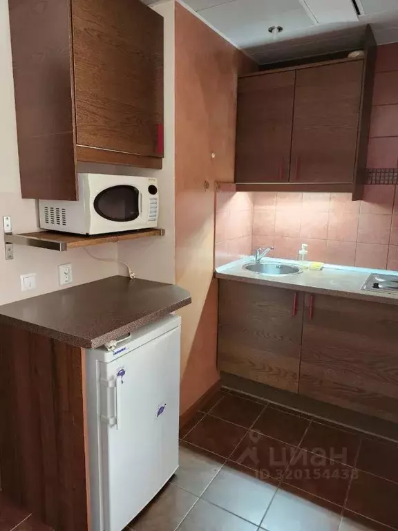 Студия Санкт-Петербург ул. Софьи Ковалевской, 16к5 (27.0 м) - Фото 0
