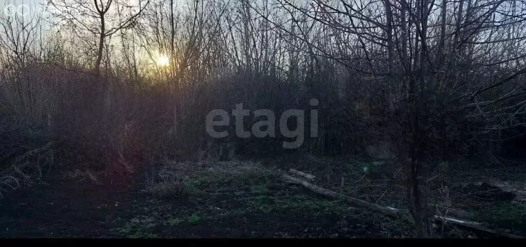 Участок в Альметьевск, СТ Буровик-1 (6.12 м) - Фото 1