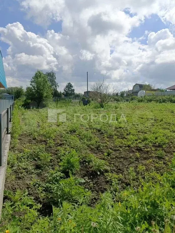 Участок 4 сот. (СНТ, ДНП) - Фото 1