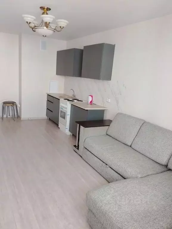 Студия Ростовская область, Ростов-на-Дону ул. Юрия Дубинина (25.0 м) - Фото 1