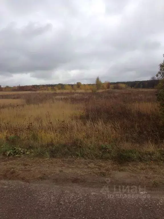 Участок в Московская область, Луховицы городской округ, пос. Совхоза ... - Фото 0