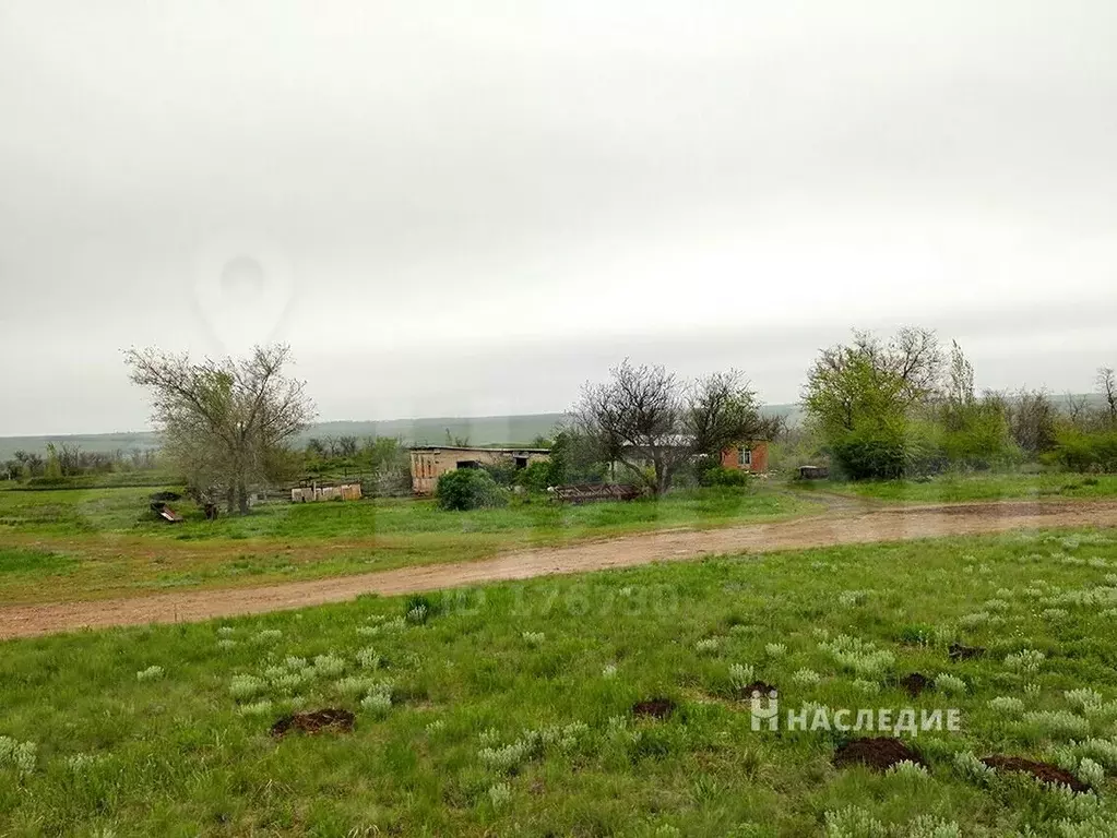 Купить Земельный Участок В Каменск Шахтинском Районе