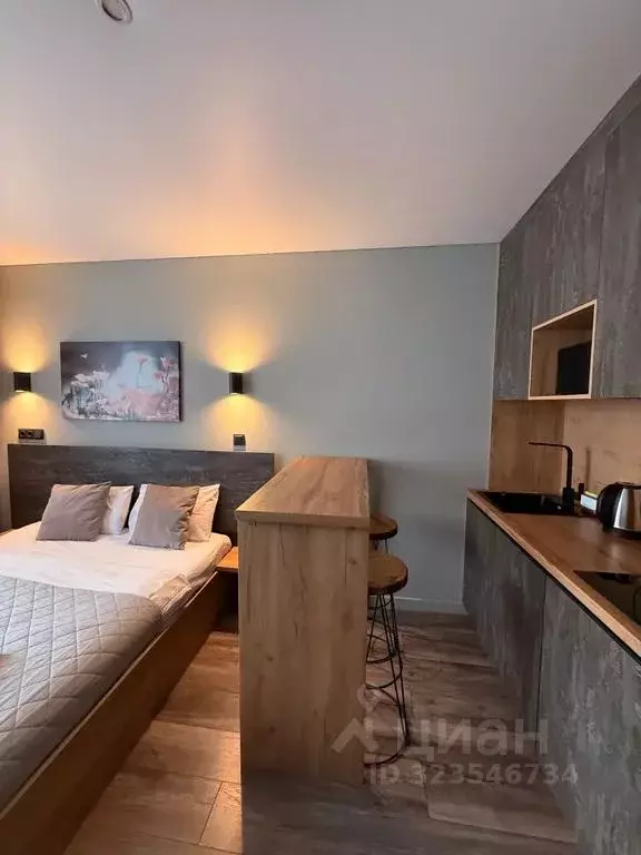 Студия Москва Ленинский просп., 158 (18.0 м) - Фото 2