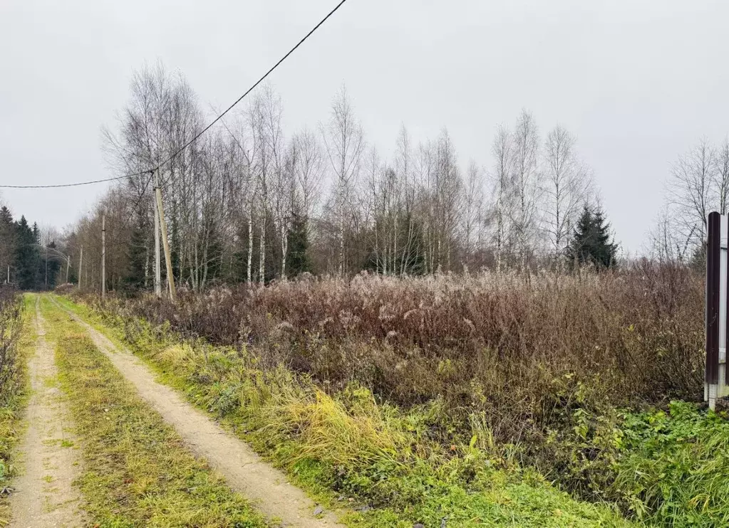 Участок в Московская область, Клин городской округ, Подсолнухи кп ул. ... - Фото 1