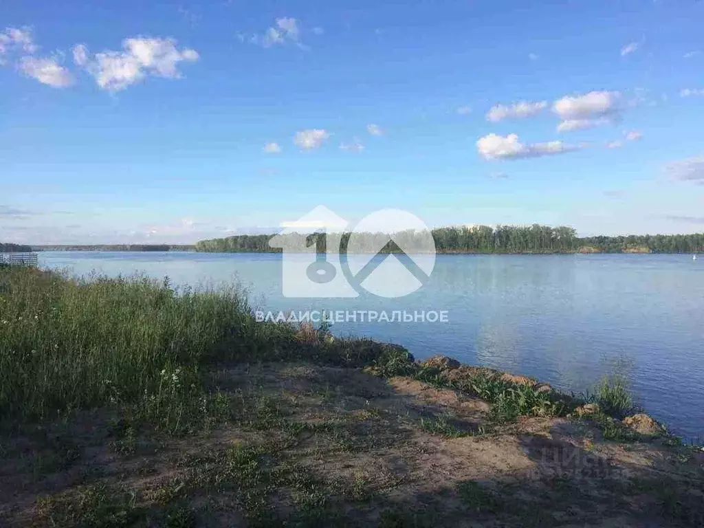 Участок в Новосибирская область, Новосибирский район, Кудряшовский ... - Фото 0