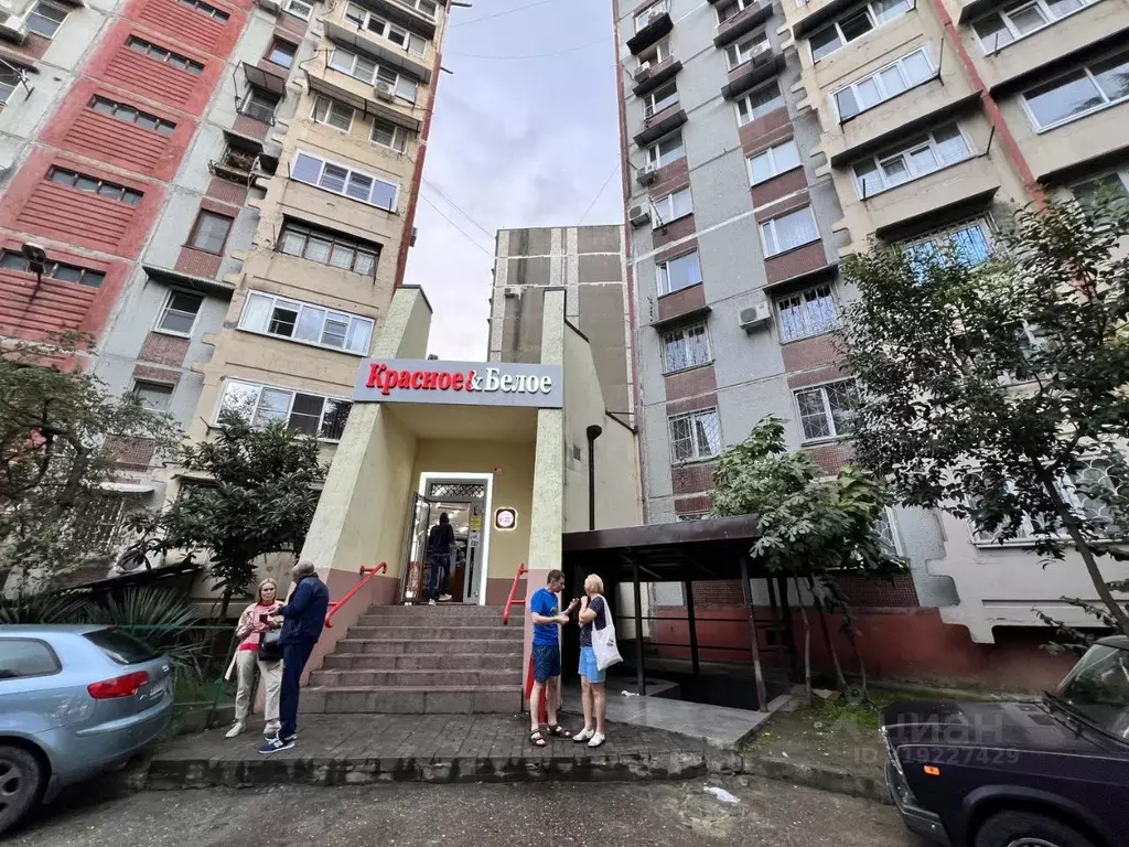 Помещение свободного назначения в Краснодарский край, Сочи Адлер ... - Фото 1