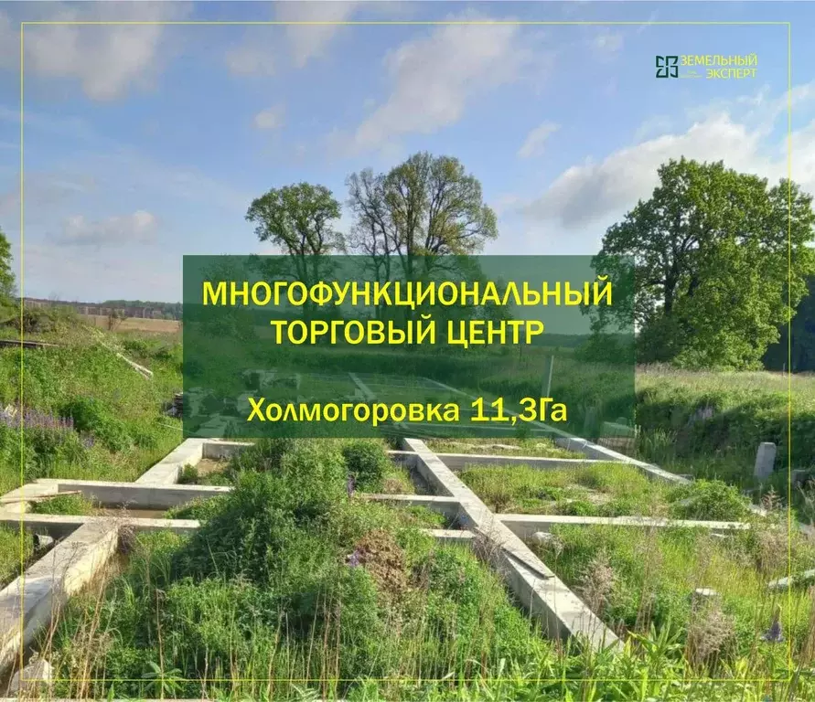 Участок в Калининградская область, Калининград Чкаловск мкр, ул. ... - Фото 0