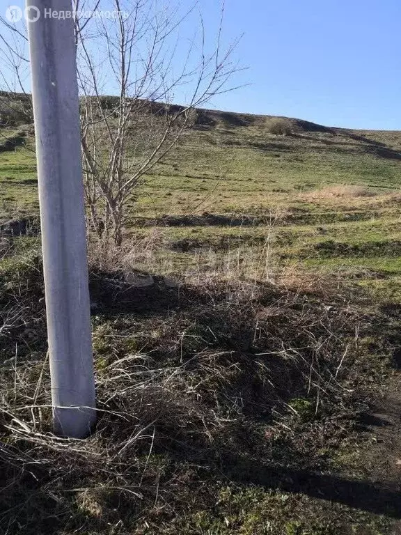 Участок в село Усть-Иша, улица Мира (15 м) - Фото 2