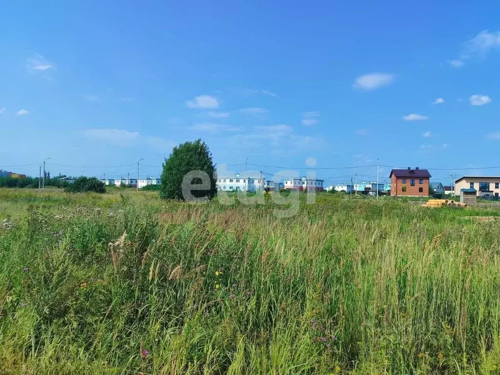 Участок в Костромская область, Кострома Соколиное Гнездо кп, 1 (8.1 ... - Фото 1