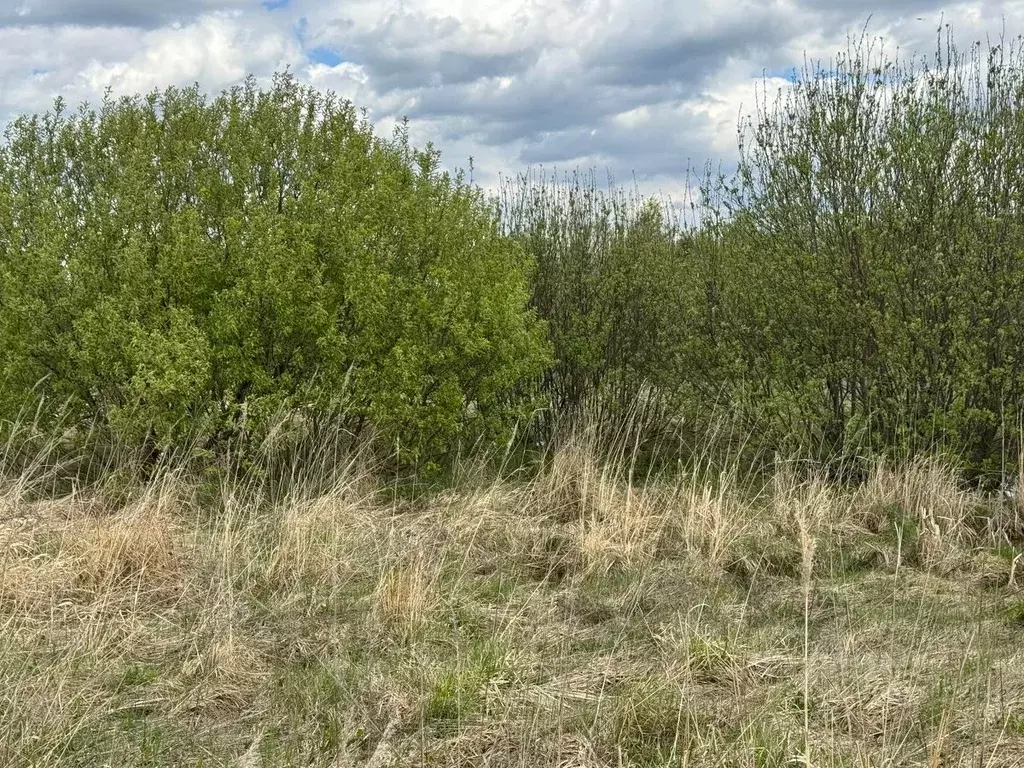 Участок в Московская область, Богородский городской округ, д. Старые ... - Фото 0