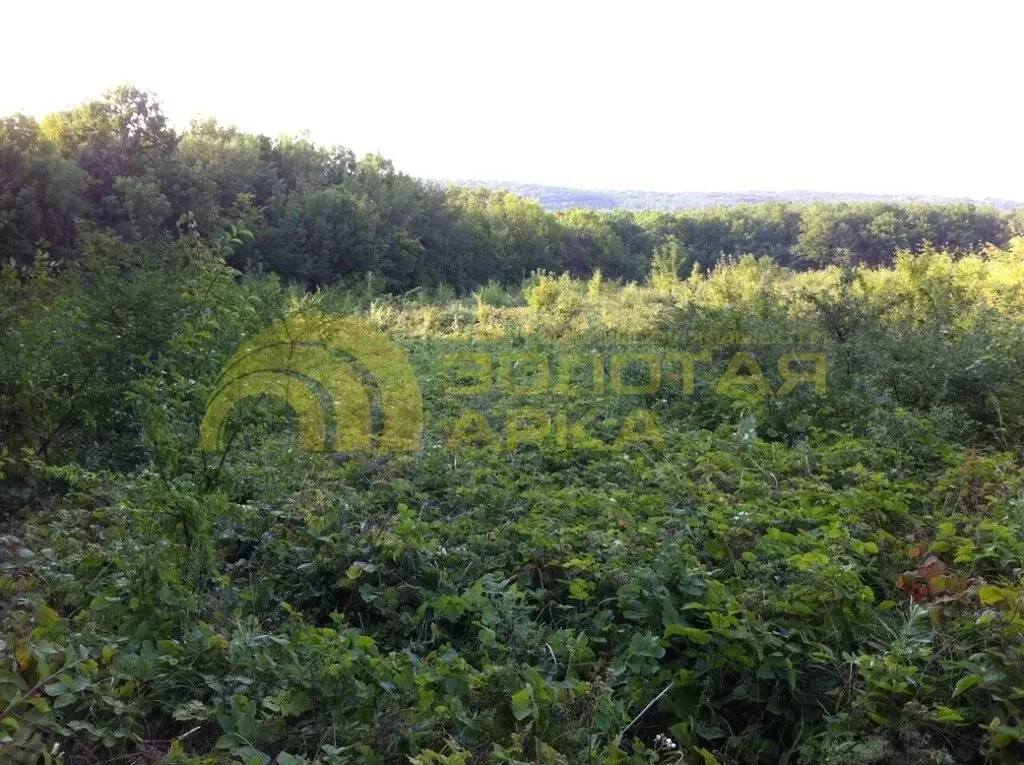 Участок в Ахтырский, Красная улица, 12 (257.71 м) - Фото 0