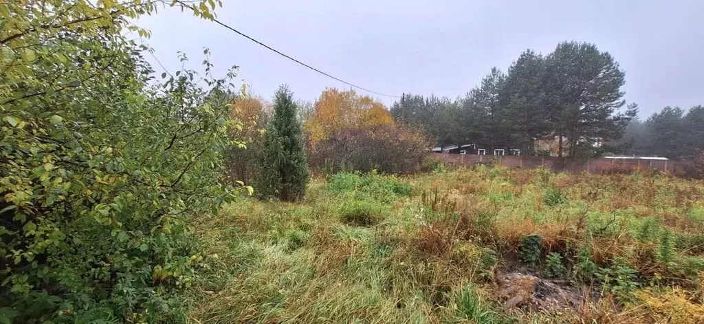 Участок в Калужская область, Бабынинский муниципальный округ, ... - Фото 1