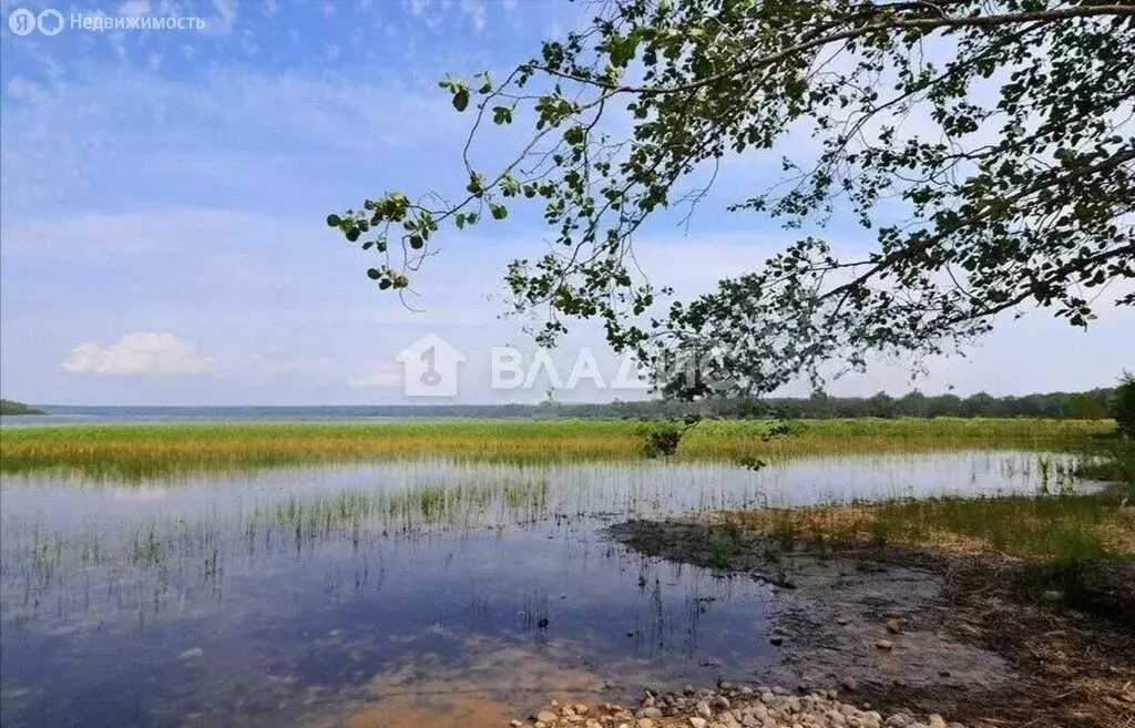 Участок в Выборгский район, Рощинское городское поселение, территория ... - Фото 0