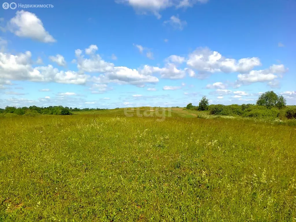 Участок в село Оськино, улица Калинина (36.3 м) - Фото 1