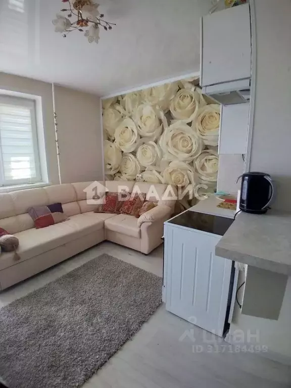1-к кв. Владимирская область, Владимир ул. Кулибина, 10 (22.0 м) - Фото 1