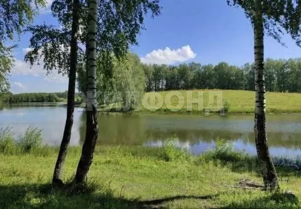 Участок, 824 сот., поселения (ижс) - Фото 1